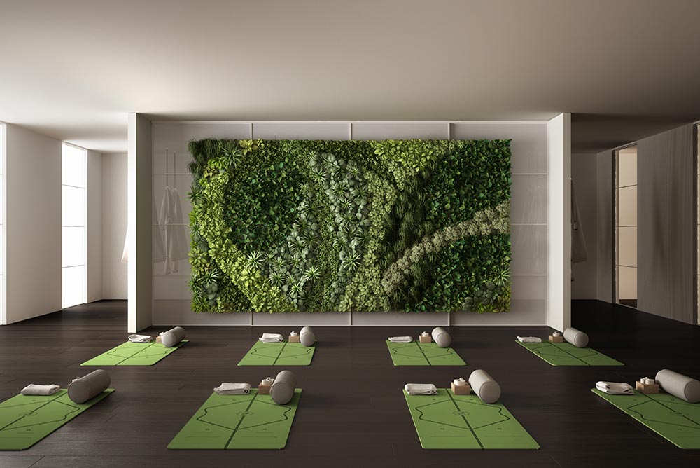Picture of living green wall in a yoga studio