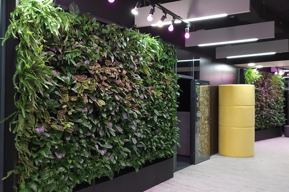 Picture vertical gardens in a hallway with colorful lighting