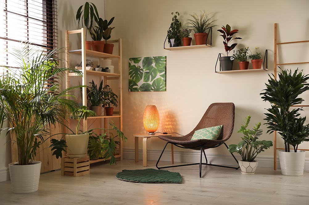 Picture of plants in a waiting area