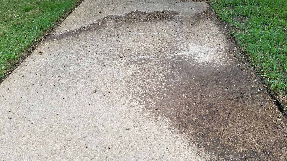 Picture of walkway that got dirty after rain in Baton Rouge Louisiana